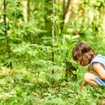 Imparare dagli effetti della natura: come le conseguenze naturali aiutano i bambini a crescere